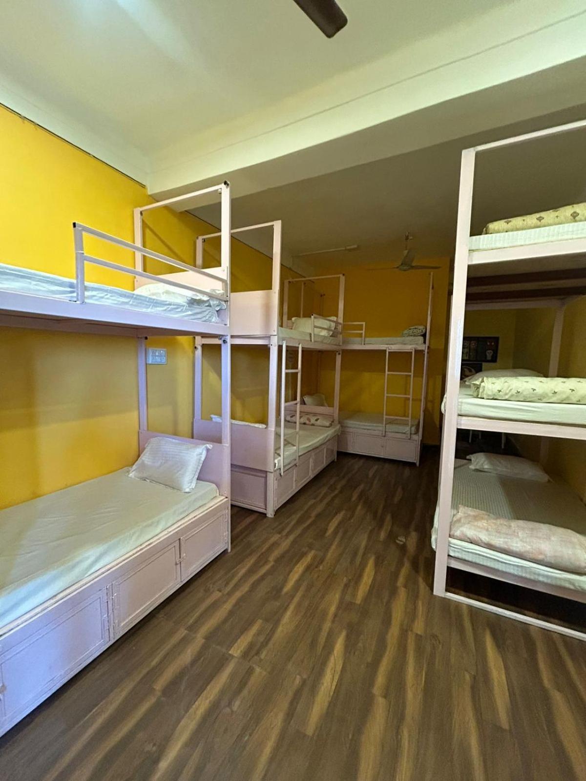 Unplanned Hostel Удайпур Екстериор снимка
